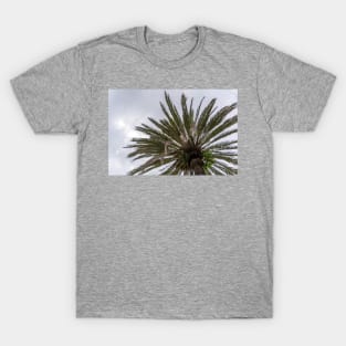 Palm tree silhouette against grey cloudy sky T-Shirt